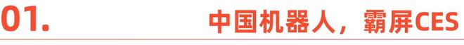 CES变成中国科技秀:机器人跳舞、熊猫获奖、眼镜会说话(2) CES变成中国科技秀:机器人跳舞、熊猫获奖、眼镜会说话(2)