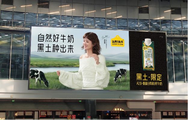 静默生长 自有答案｜认养一头牛官宣品牌代言人赵丽颖(1)