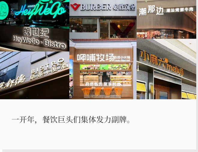 一个月10多个副牌齐开，餐饮巨头们在急什么？(2)