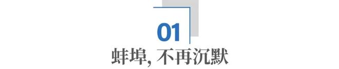 “铁锤砸铁钉”:蚌埠,一座老工业城市的实干突围(4) “铁锤砸铁钉”:蚌埠,一座老工业城市的实干突围(4)