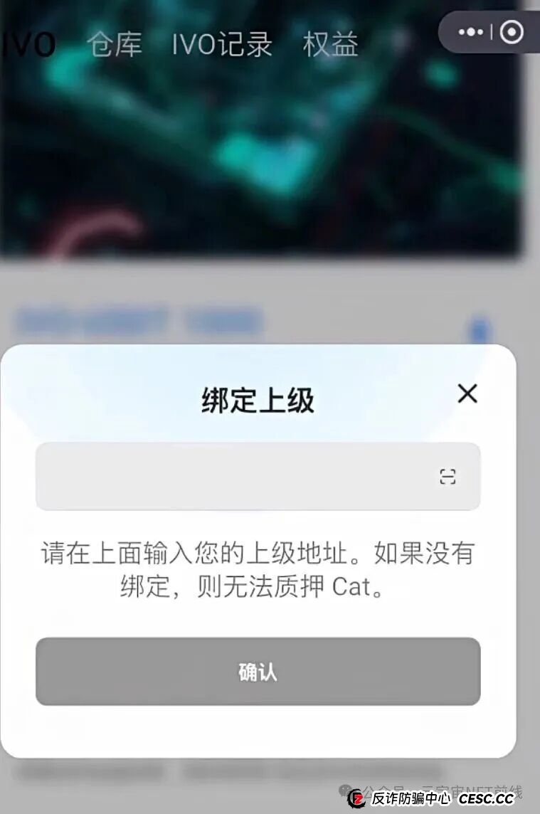 深度起底“菠萝猫”:从“零代码开发”到“百倍收益”,一场针对普通人的精准收割