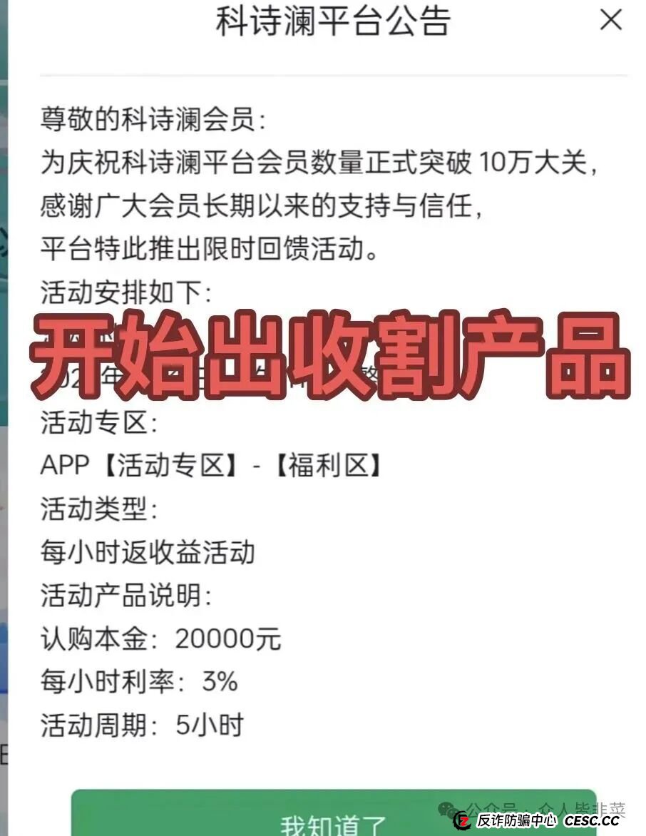 对话一位“科诗澜”受害者:我不是没怀疑,只是输给了“万一会是真的”