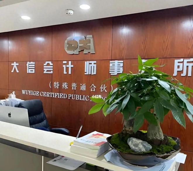 监管风暴下的大信所：屡触红线，本土头部会计师事务所的信任危机