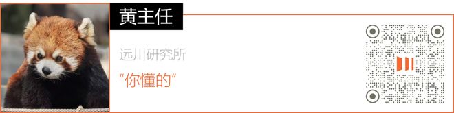 广州女装，一座城和一个产业的出海野心(11)