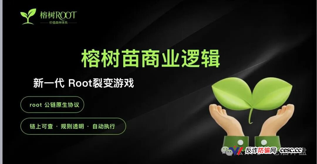 榕树ROOT用8160元树苗骗你拉人头!P5级别11天赚400万全是后台改的数据