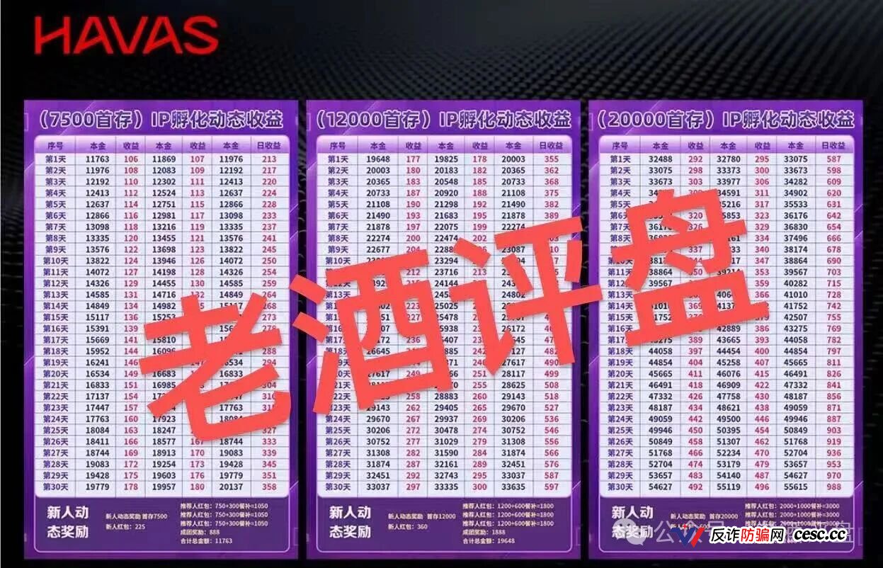 HAVAS汉威士和已跑路的树拍易购同一个团伙,结局早已注定(3) HAVAS汉威士和已跑路的树拍易购同一个团伙,结局早已注定(3)