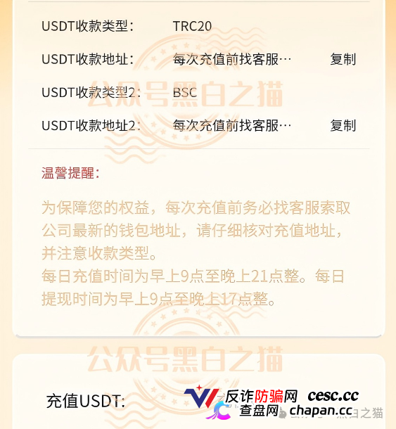 伪冒“德尔格”资金盘U充值，高额返利为诱饵继续诱骗，官媒发声请远离杀猪盘......(10)